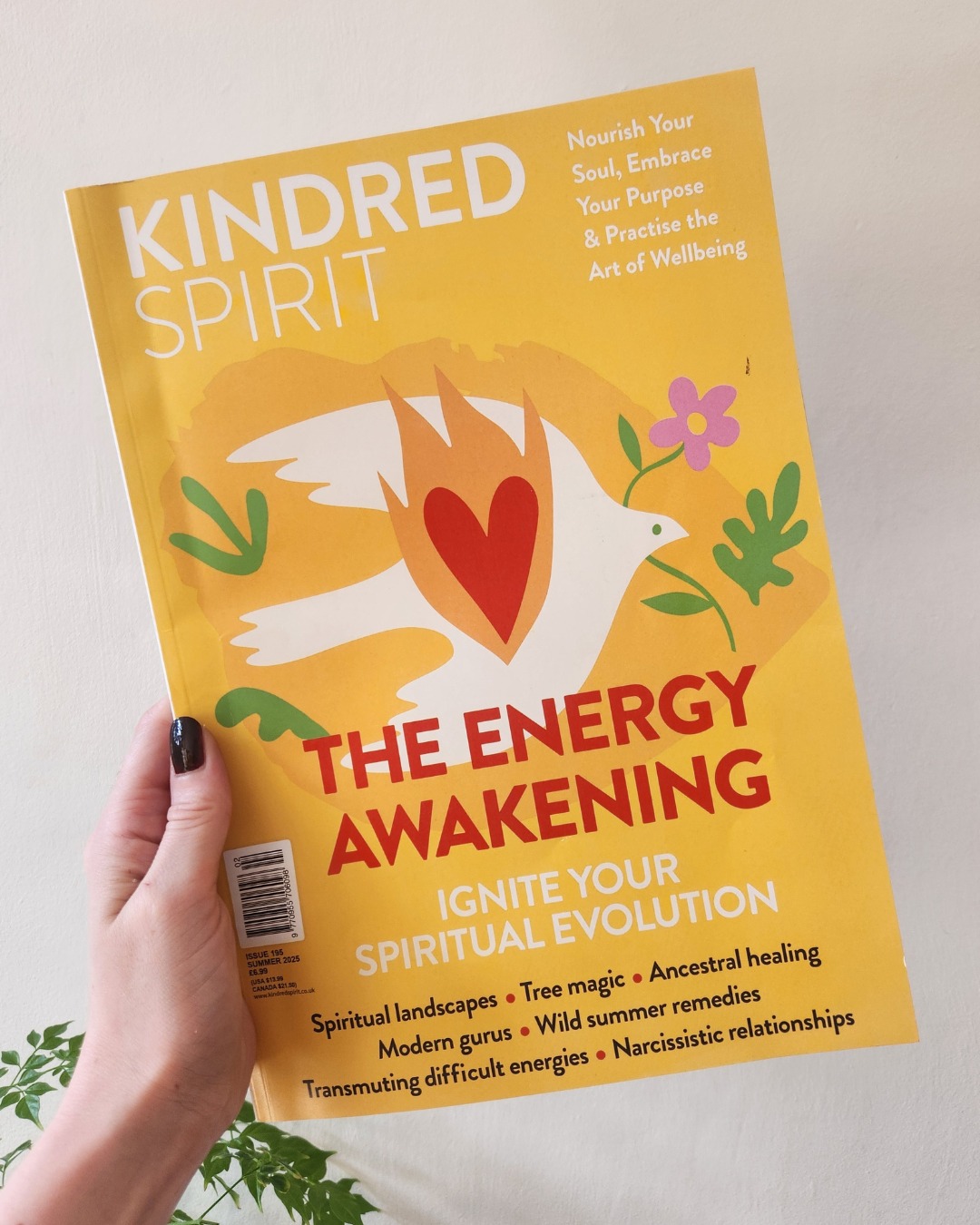 Summer vibes, soul style 🌞❤️Tap into seasonal magic with the latest Kindred Spirit – out now!
Get yours from the link in our bio ✨