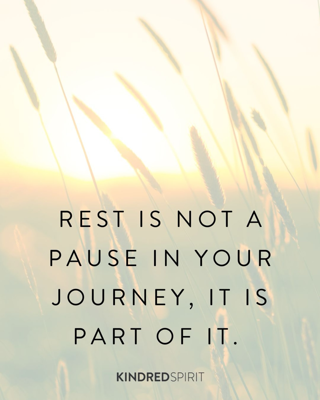 It’s all a part of the journey ✨
#holisticliving #balancedliving #holistichealing #spiritualityandhealth #spiritualjourney #wellnessjourney #healthandwellness #tuesdaymotivations #inspirationalquote
