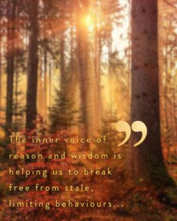 Welcoming autumn🍂 You can read your numerological forecast by @soniaducie55, as well as your horoscope by Demian Allan for October now – just click the link in our bio to visit our website!