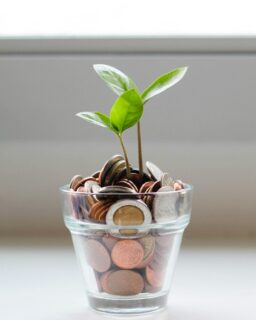 💫 Money. Sex. Power.
For many on the spiritual path, these are the trickiest – even taboo – areas to navigate. Yet they are also potent gateways for transformation.
Click link in our bio to read the latest blog.