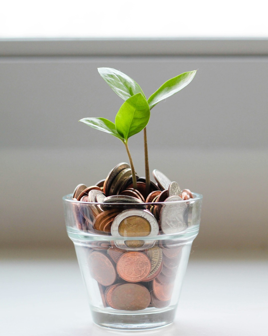 💫 Money. Sex. Power.
For many on the spiritual path, these are the trickiest – even taboo – areas to navigate. Yet they are also potent gateways for transformation.
Click link in our bio to read the latest blog.