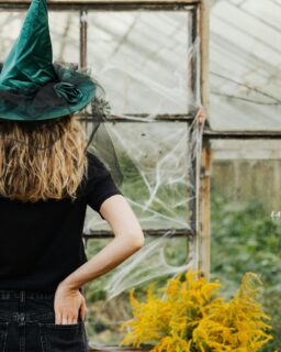 Celebrate a green witch's 12 Days of #Yule with rituals, spells and tips from witchy expert Tudorbeth 🍃
Click the link in our bio to read the new post on the Kindred Spirit blog! #greenwitch