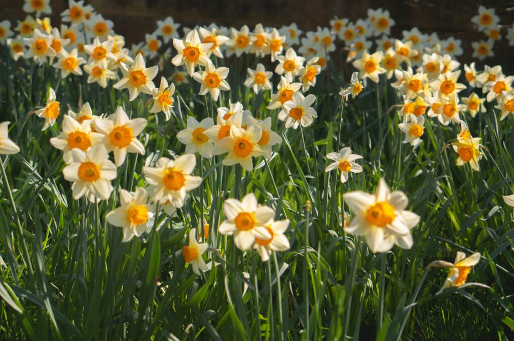 April horoscopes