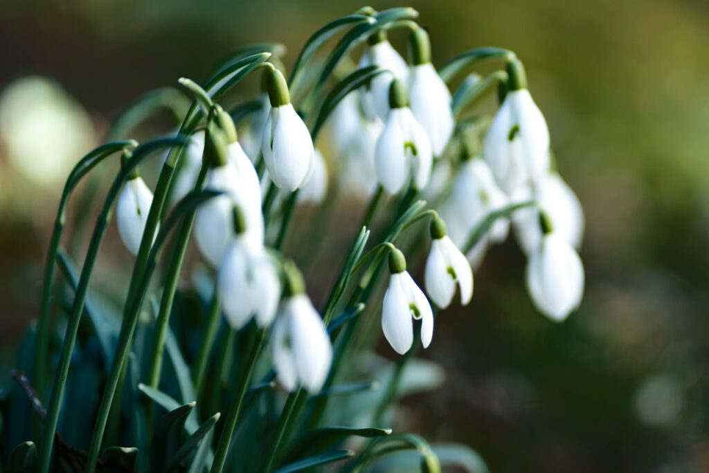 march horoscopes