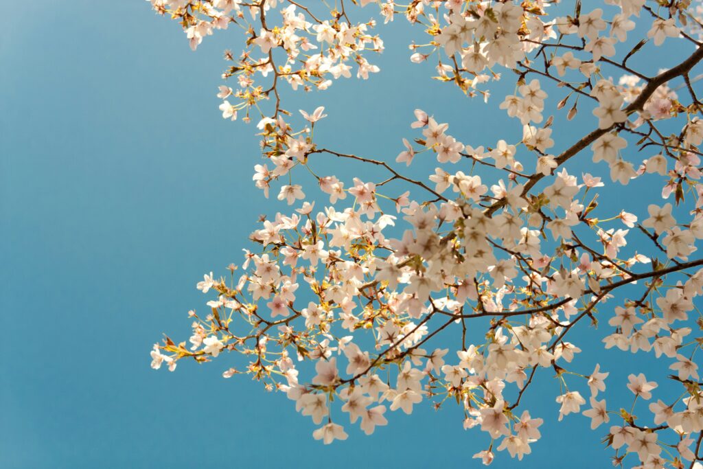 April numberscopes