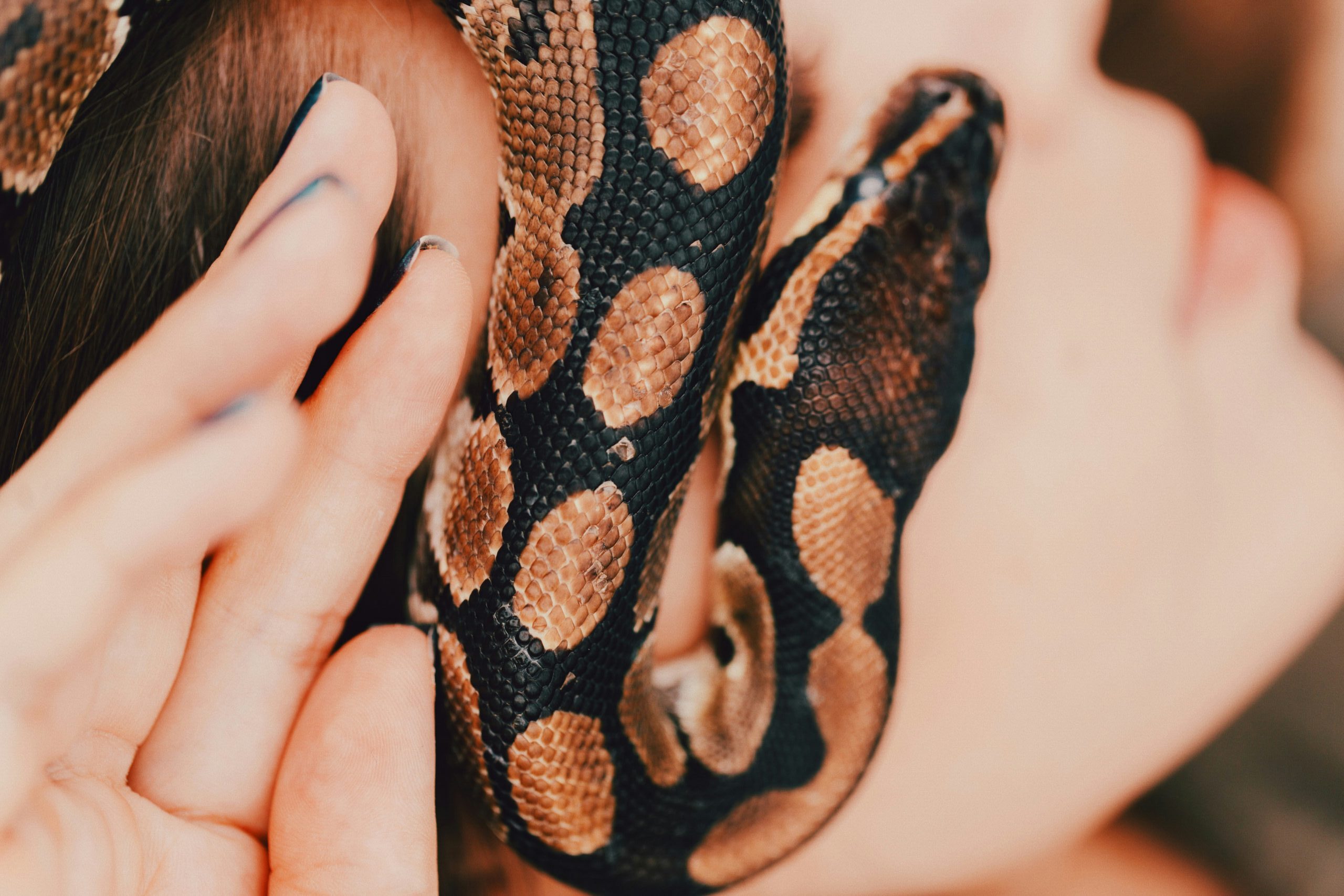 Barefoot and Belly-Led: Snake as an Archetypal Remedy