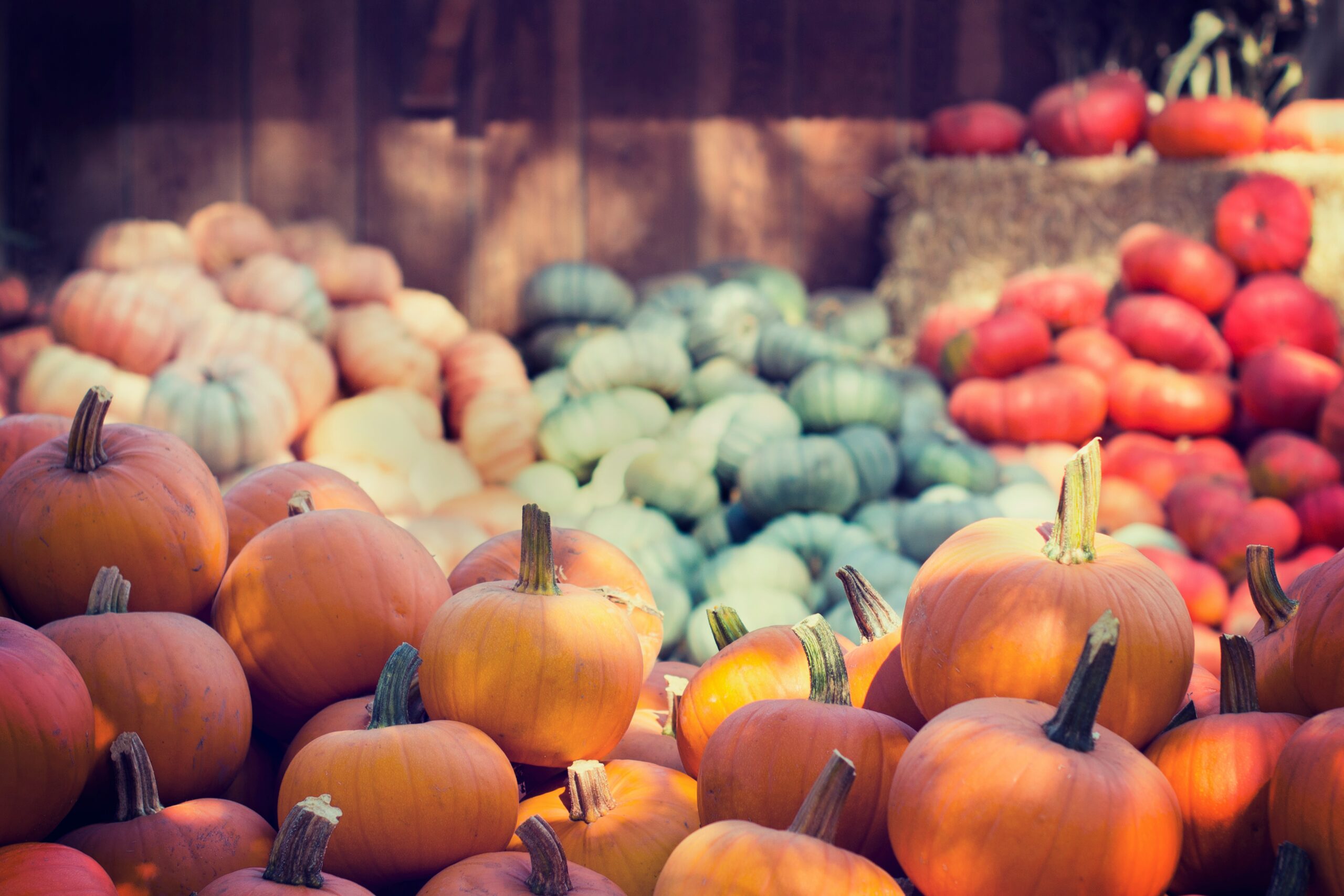 October 2025 Horoscopes: Your Astrology Forecast
